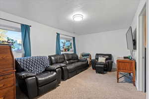 Living room with a textured ceiling, a healthy amount of sunlight, and light colored carpet