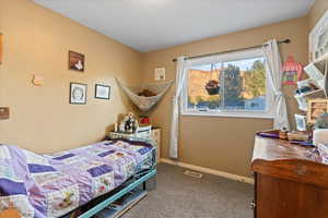 Bedroom featuring carpet