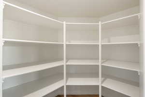 Ginormous walk-in pantry room