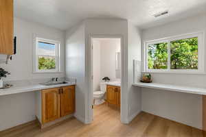 Laundry room and 1/2 bathroom featuring a healthy amount of sunlight, utility sink, countertops, LVP floors, vanity, and toilet