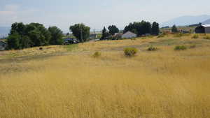 View of local wilderness with rural landscape