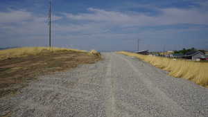 View of dirt / gravel road