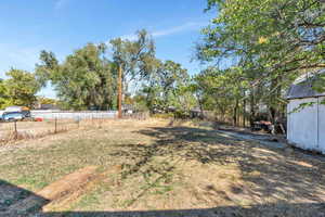 View of backyard