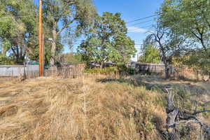 View of backyard