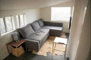 Living room featuring vaulted ceiling