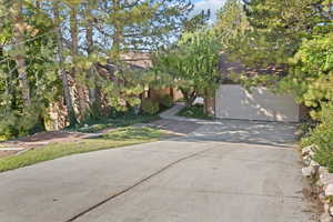 View of property hidden behind natural elements featuring a garage