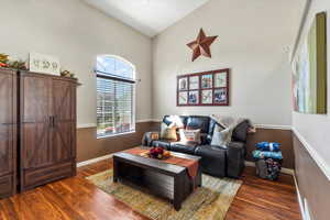 Living room featuring dark hardwood / wood-style floors and high vaulted ceiling