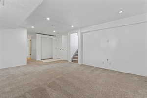 Basement Family Room - Large