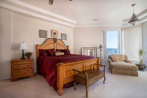 Bedroom featuring a tray ceiling, ceiling fan, and light colored carpet