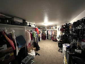 Walk in closet featuring carpet