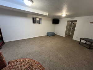 Basement featuring carpet floors and a textured ceiling