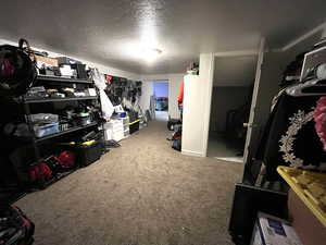 Spacious closet with carpet