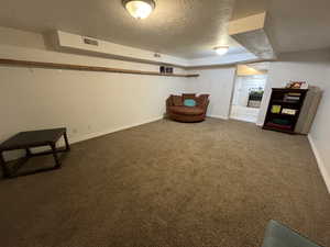 Sitting room with a textured ceiling and carpet flooring