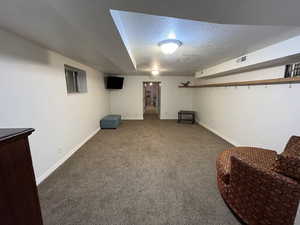 Basement with a textured ceiling and dark colored carpet