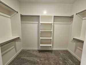 Spacious closet with dark carpet