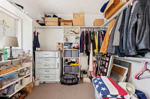 Spacious closet with carpet flooring