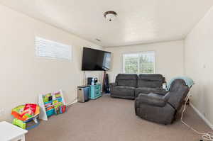 Living room featuring carpet