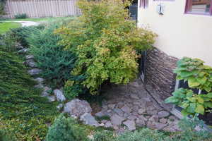 View of yard with a patio