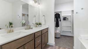 Bathroom with wood-type flooring and vanity