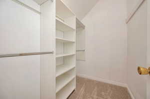 Spacious closet featuring light colored carpet