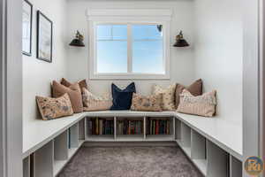 Mudroom featuring carpet floors