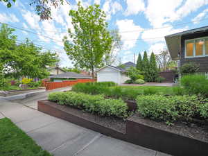 Planter box hedge