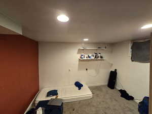 Laundry room with carpet