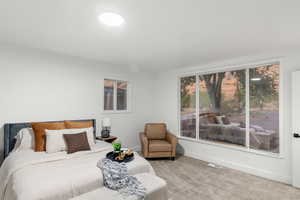 Bedroom with light carpet