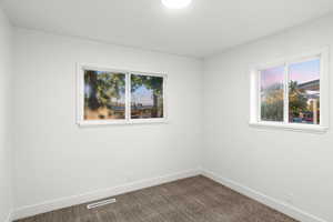 Unfurnished room featuring carpet flooring and plenty of natural light