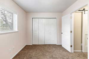 Unfurnished bedroom featuring a barn door, a closet, and carpet floors