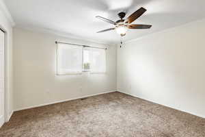 Empty room featuring crown molding, carpet, a textured ceiling, and ceiling fan