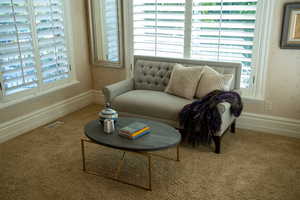 Sitting room featuring plenty of natural light and carpet flooring