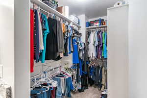 Spacious closet featuring carpet flooring