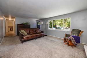 Living room featuring light colored carpet