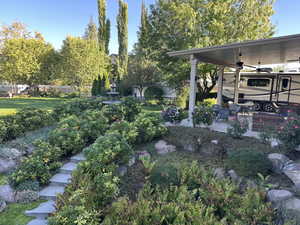 View of yard featuring ceiling fan