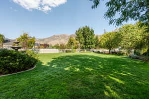 View of yard with a mountain view