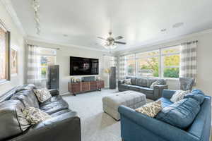 Living room featuring light colored carpet, crown molding, a healthy amount of sunlight, and rail lighting