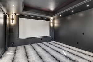 Cinema room featuring a barn door, carpet flooring, and a tray ceiling