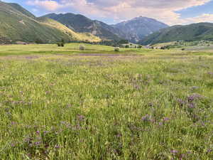 View of mountain background with rural landscape