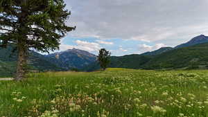 View of mountain background