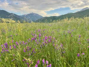 View of mountain backdrop