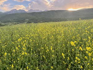 View of mountain backdrop
