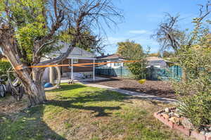 Yard and patio