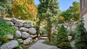 Entrance to basement and waterfall