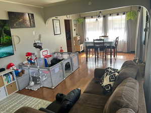 Living room and dining room