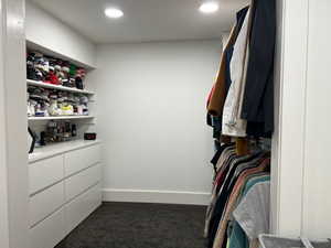 View of walk in closet