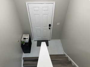 Entryway with dark wood-type flooring