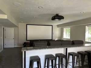 Carpeted home theater room featuring a textured ceiling and plenty of natural light