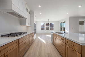 Kitchen with white cabinets, stainless steel appliances, custom exhaust hood, light hardwood / wood-style flooring, and sink