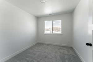 Spare room featuring carpet floors and a textured ceiling